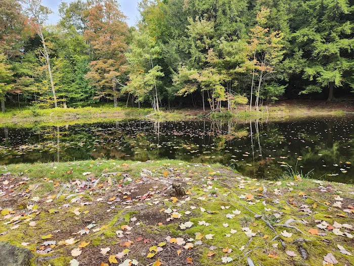 Hemlock Lakes Campground Picture 9