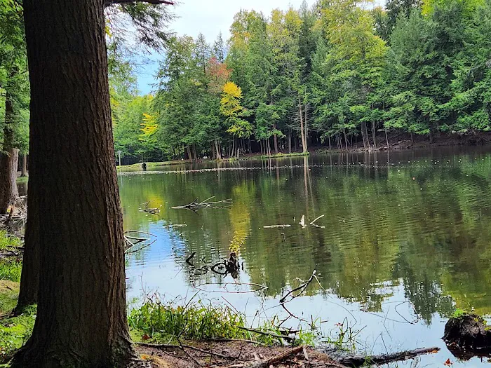 Hemlock Lakes Campground Picture 8