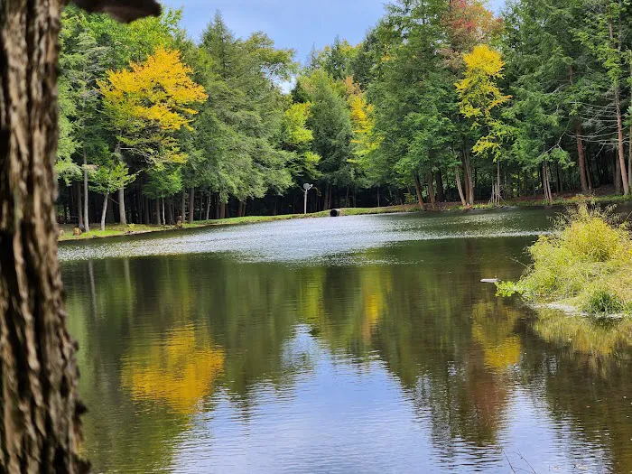 Hemlock Lakes Campground Picture 5