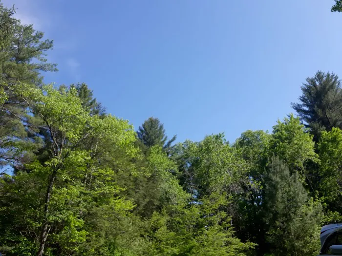 Hemlock Lakes Campground Picture 6