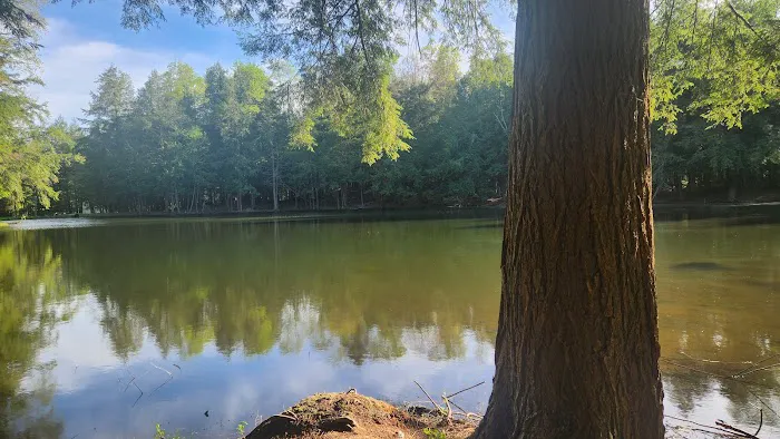 Hemlock Lakes Campground Picture 2