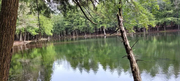 Hemlock Lakes Campground Picture 3