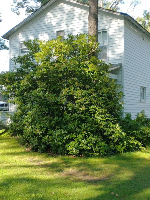 Pleasantville Camp Picture 6