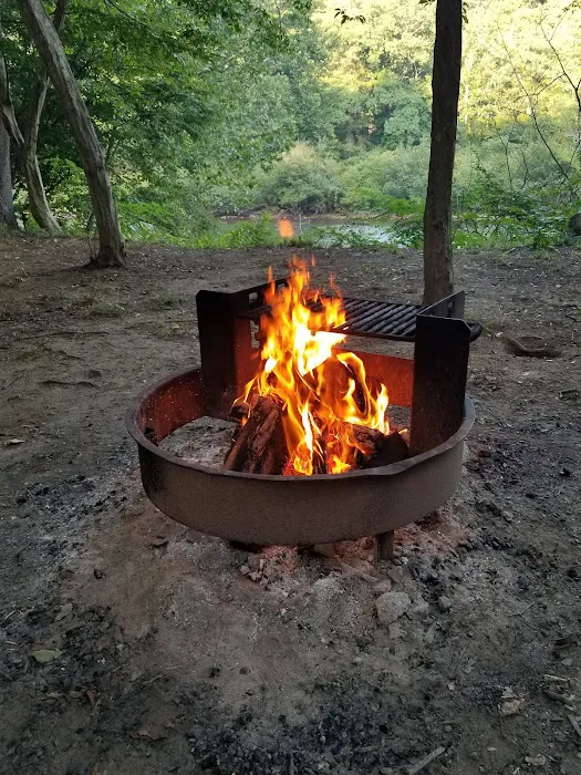 Outflow Recreation Area Campground Picture 6