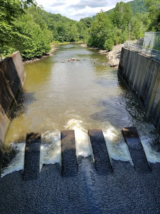 Outflow Recreation Area Campground Picture 8
