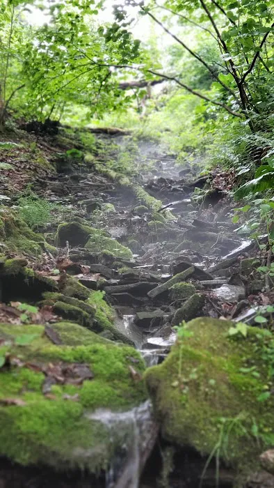 Outflow Recreation Area Campground Picture 9