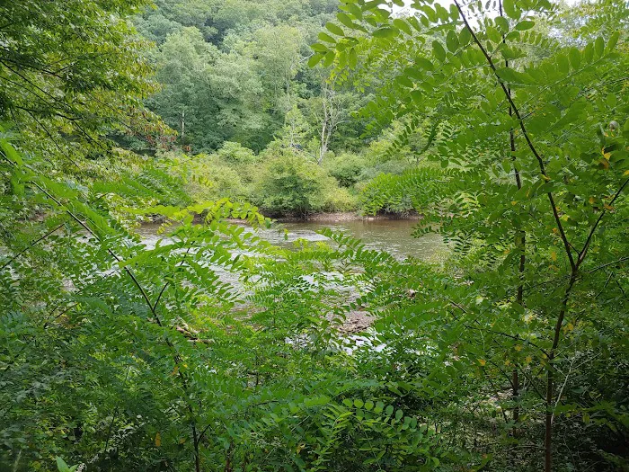 Outflow Recreation Area Campground Picture 2