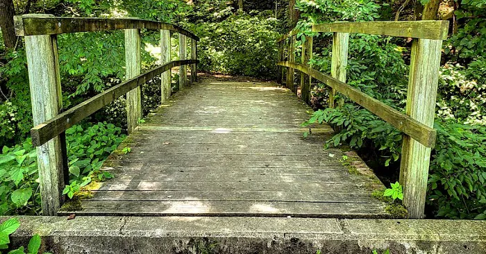 Tionesta Recreation Area Campground Picture 3