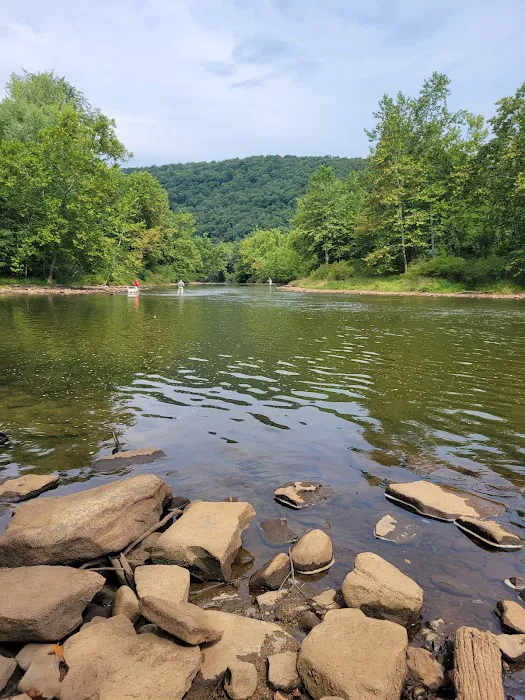 Tionesta Recreation Area Campground Picture 5