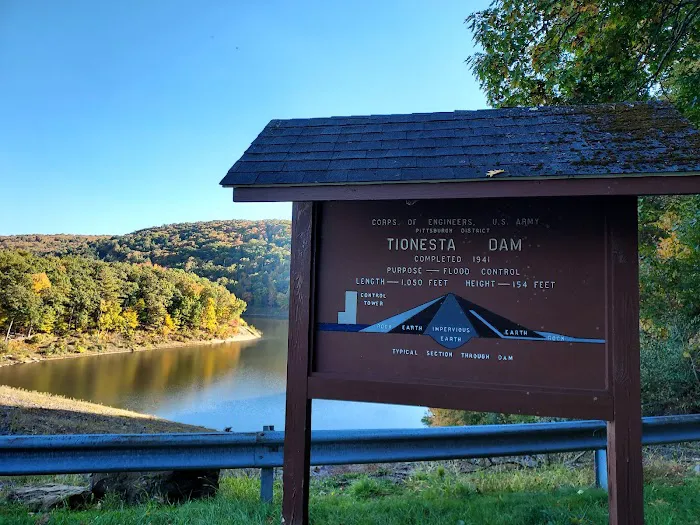 Tionesta Recreation Area Campground Picture 1