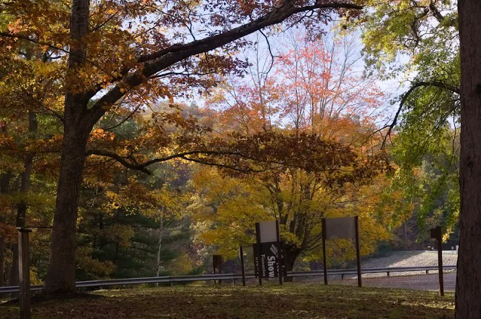 Tionesta Recreation Area Campground Picture 8