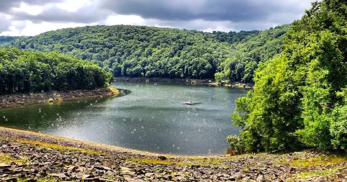 Tionesta Recreation Area Campground Picture 6