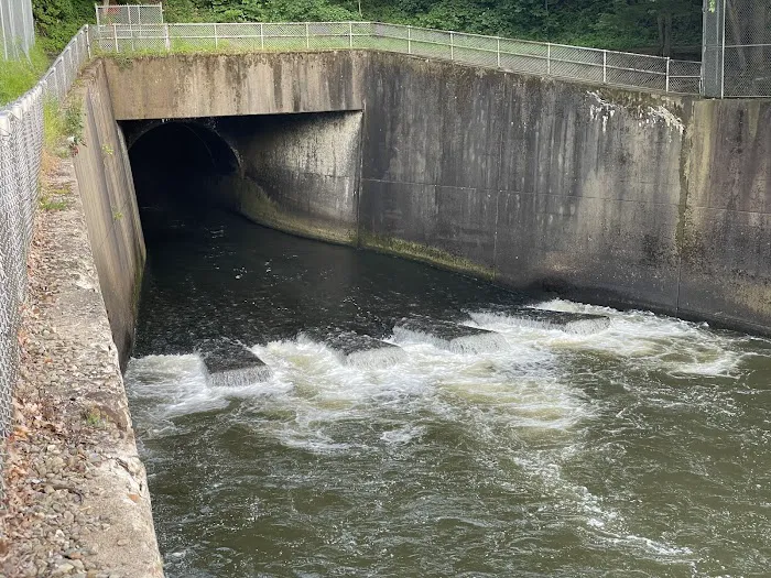 Tionesta Recreation Area Campground Picture 4