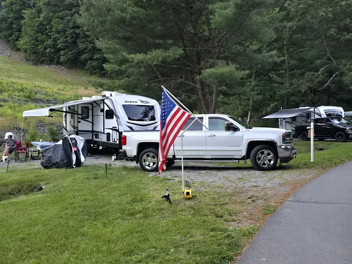 Tionesta Recreation Area Campground Picture 9