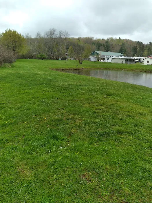 Harecreek Campground Picture 1