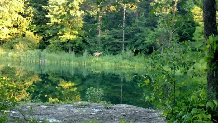 Leisure Lake Campground Picture 6