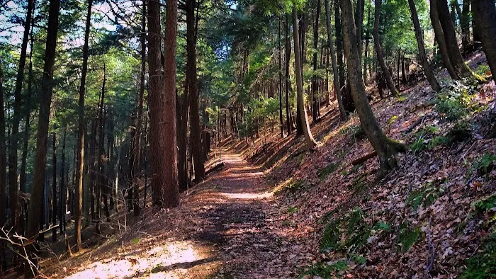 Cow Run Shelters Picture 2