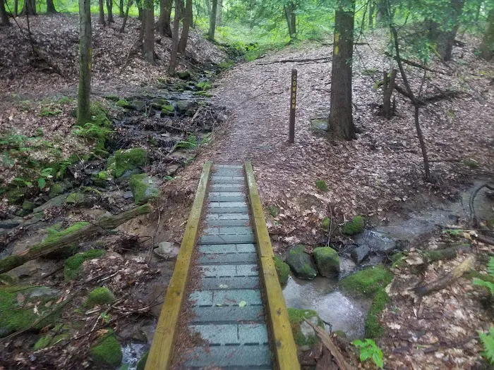 Cow Run Shelters Picture 10