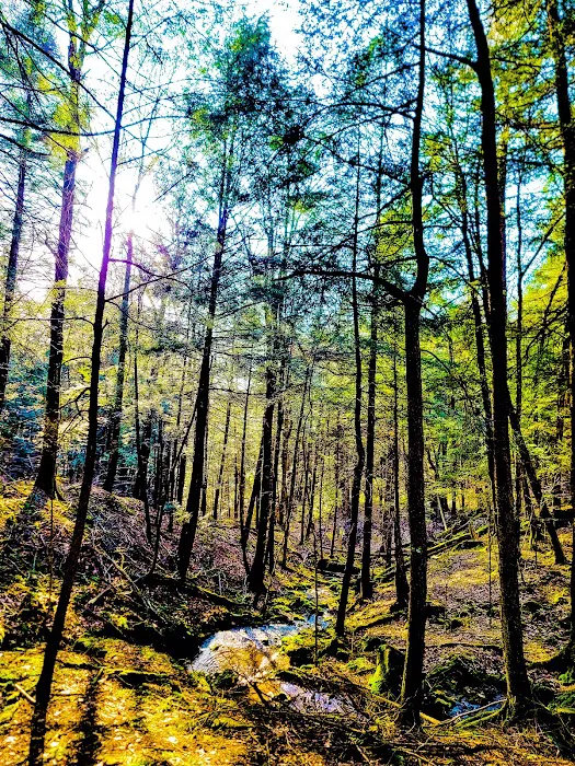 Cow Run Shelters Picture 6