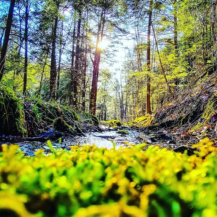 Cow Run Shelters Picture 8