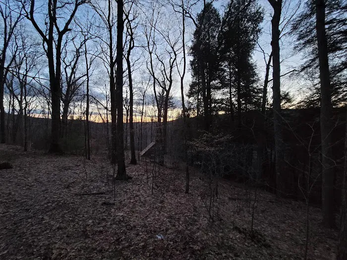 Cow Run Shelters Picture 4