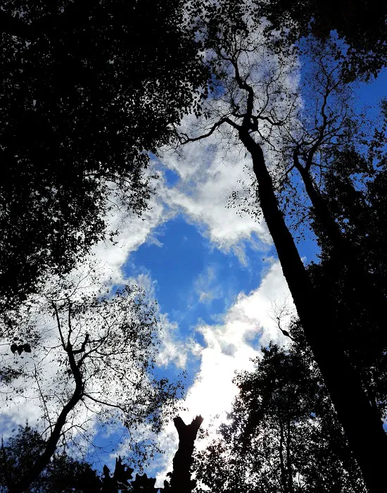 Oil Creek Family Campground Picture 4