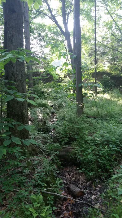 Oil Creek Family Campground Picture 2