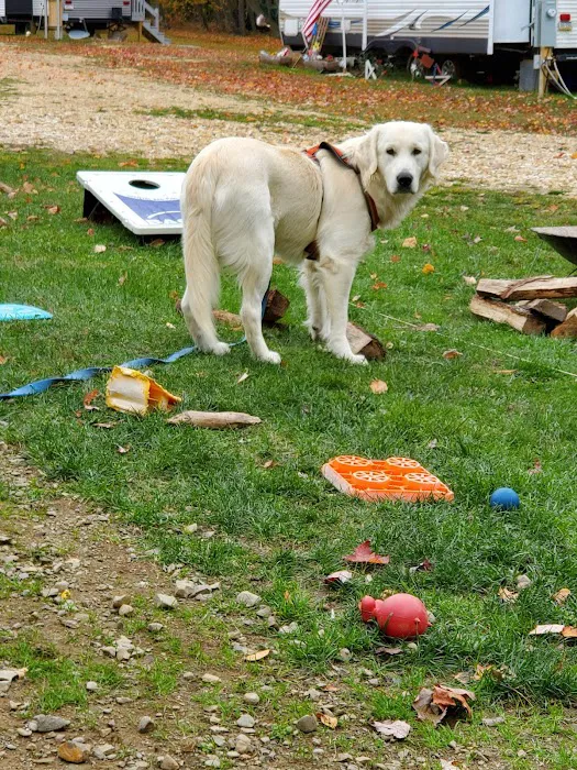 Oil Creek Family Campground Picture 3