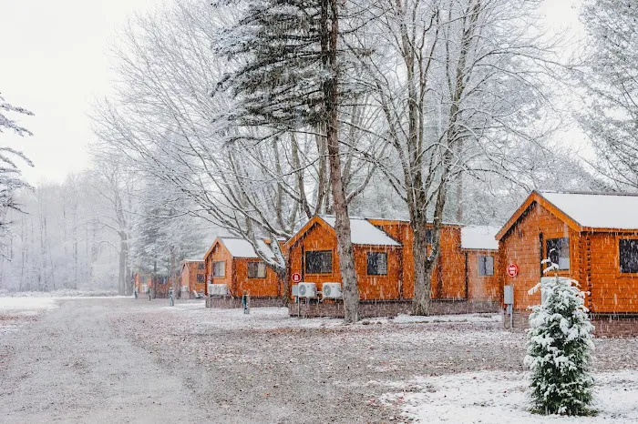 Bison Trace Luxury Camping Picture 7