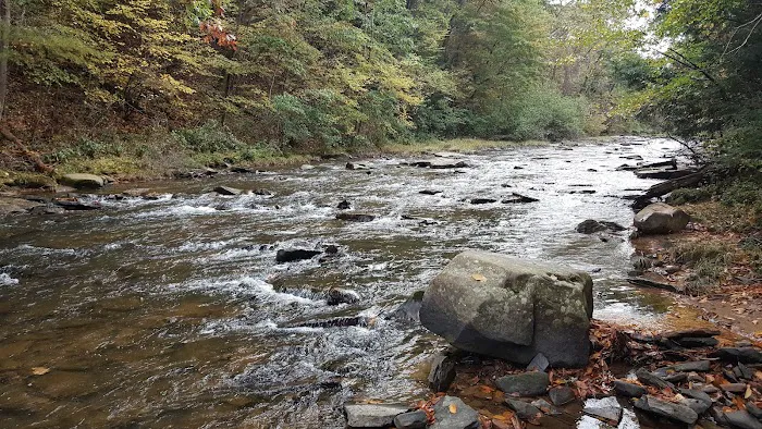 Hemlock Point Campground Picture 9