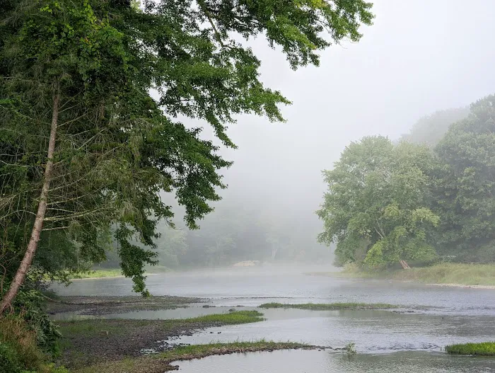 President Campground Picture 3