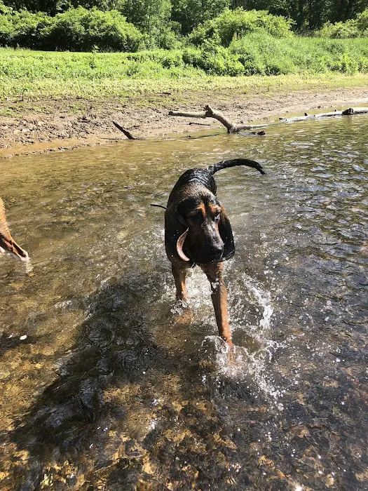 President Campground Picture 7