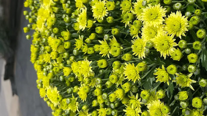 Lou's Camp Picture 7