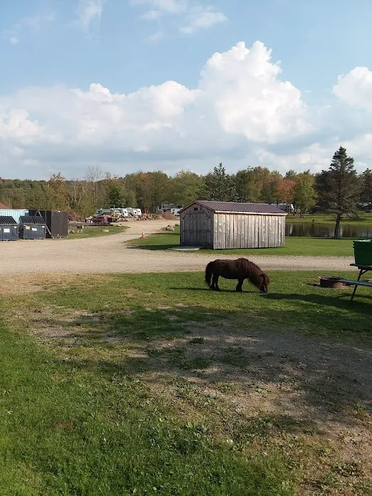 Family Affair Campground Picture 3