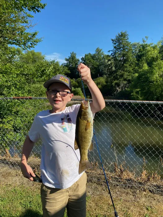 Savidge's Creekside Campgrounds Picture 9