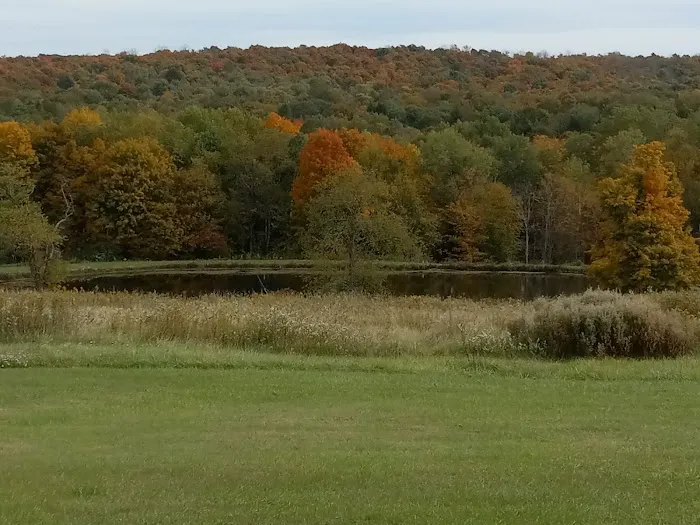 Campers Hill Picture 6