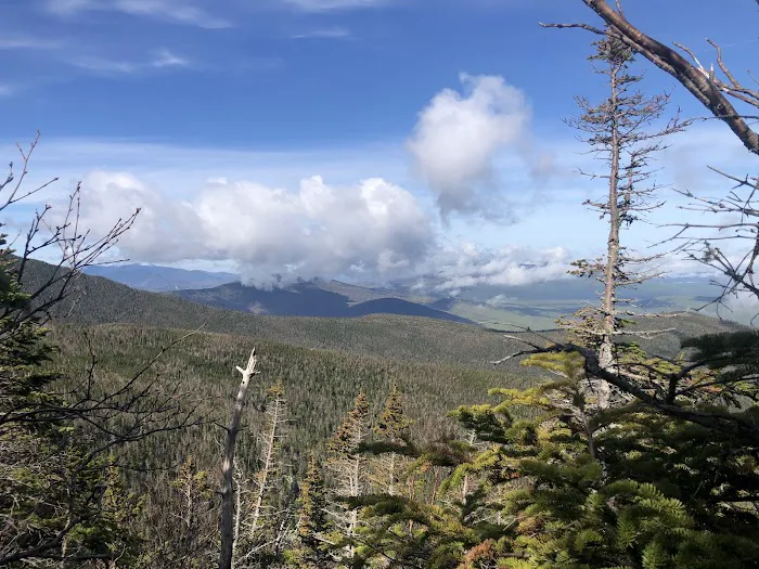 RMC The Perch Picture 5