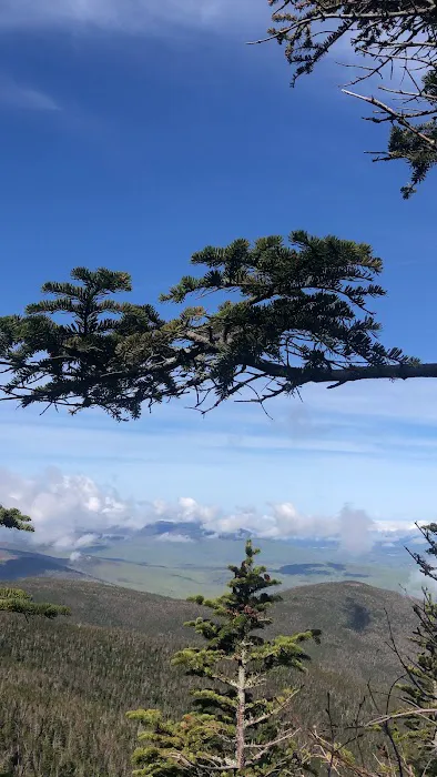 RMC The Perch Picture 8