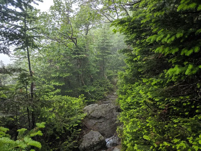 RMC The Perch Picture 6