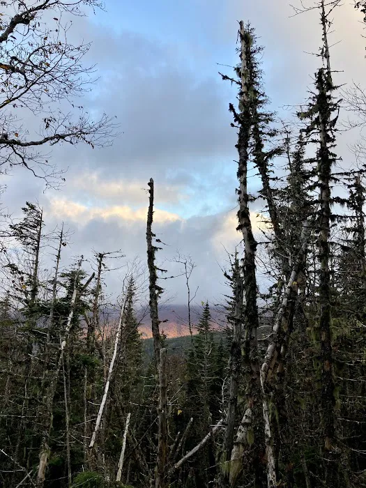 RMC The Perch Picture 3