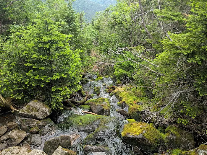 RMC The Perch Picture 10