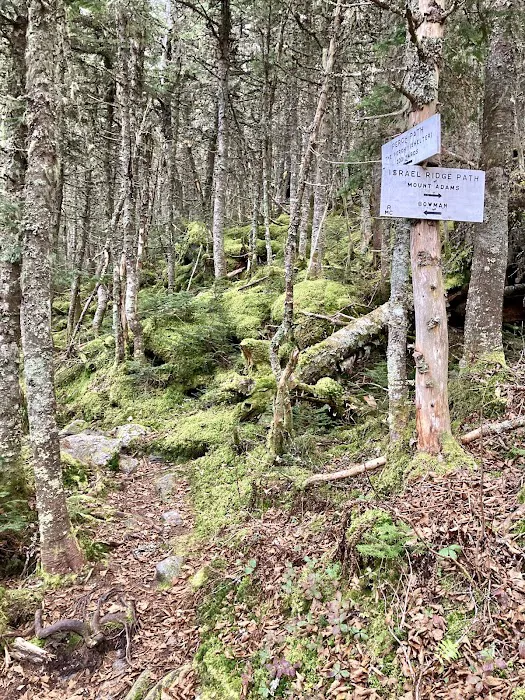 RMC The Perch Picture 4