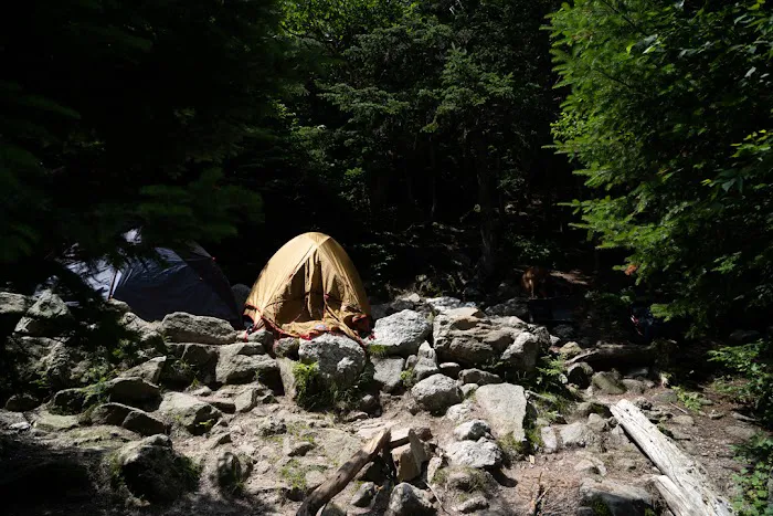 Valley Way Tentsite Picture 1