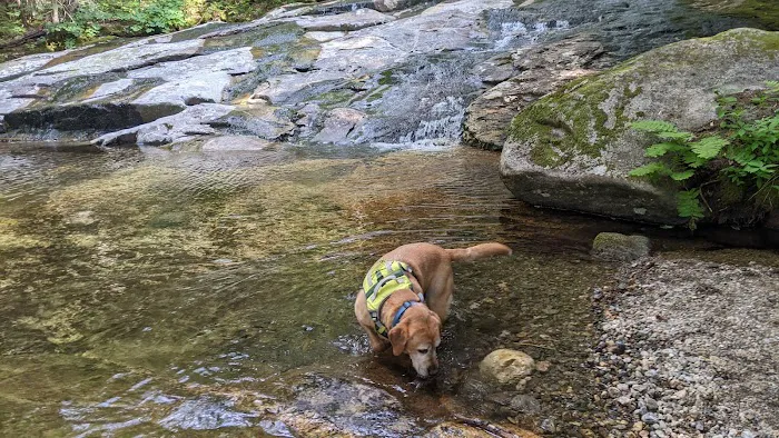 Valley Way Tentsite Picture 3