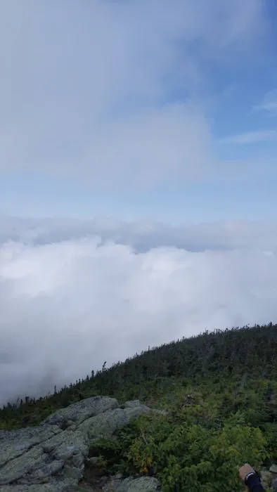 Valley Way Tentsite Picture 5