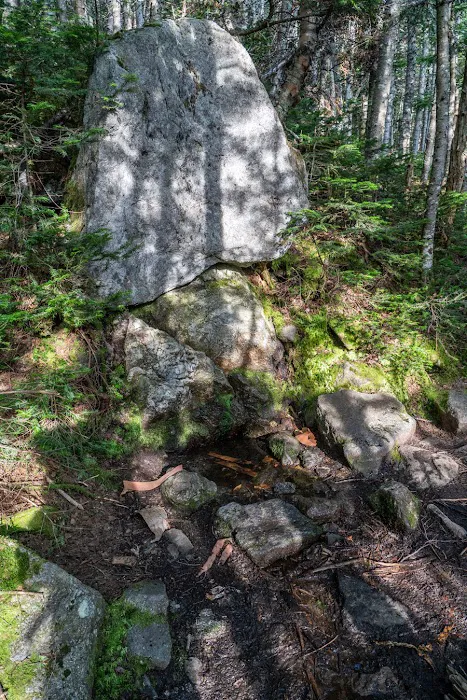 Valley Way Tentsite Picture 9