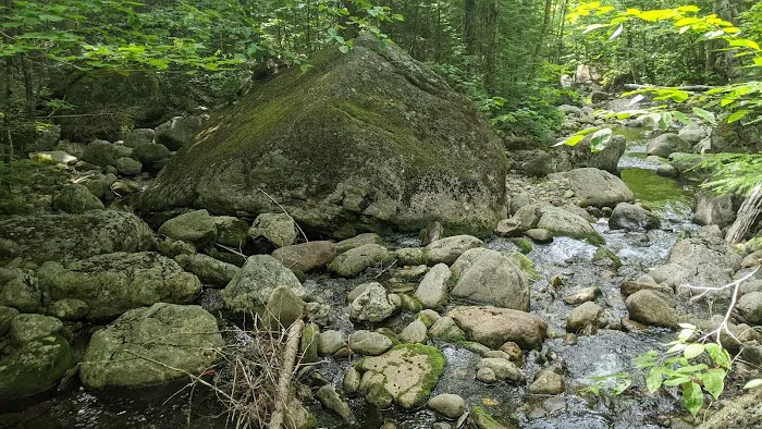 Valley Way Tentsite Picture 2