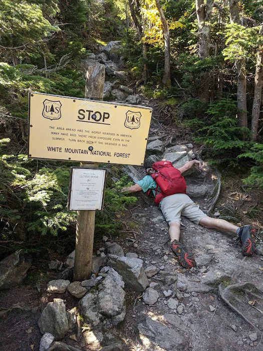 Valley Way Tentsite Picture 10