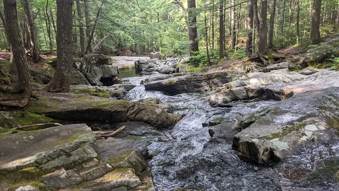 Valley Way Tentsite Picture 4