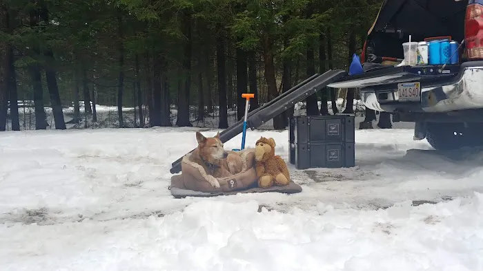 Barnes Field Group Campground Picture 1